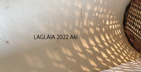 2022 Aki